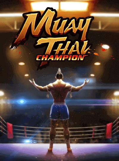 bo66 new game
